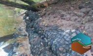 Gabion tubulaire sur berge